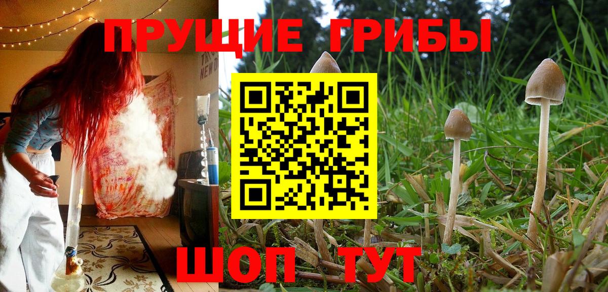 Галлюциногенные грибы мухоморы  Вход с VPN  Псилоцибиновые грибы прущие грибы  где продают наркотики  Нарткала 