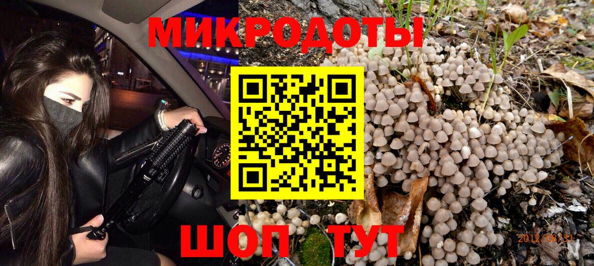 Псилоцибиновые грибы прущие грибы Нарткала